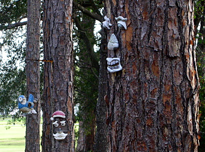 [Several trees with eyes, noses, and mouths attached including one with a Santa cap.]